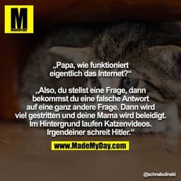 „Papa, wie funktioniert eigentlich das Internet?“

„Also, du stellst eine Frage, dann bekommst du eine falsche Antwort a