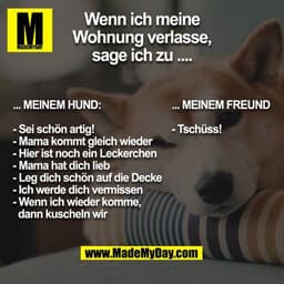 Wenn ich meine Wohnung verlasse, sage ich zu ....

... meinem Hund:
- Sei schön artig!
- Mama kommt gleich wieder
- Hier