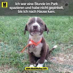 Ich war eine Stunde im Park spazieren und habe nicht gepinkelt, bis ich nach Hause kam.