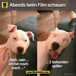 Abends beim Film schauen:
„Nein, nein ...
... 3 Sekunden
ich bin noch
später
wach ...
Foto: Si
nie Merans