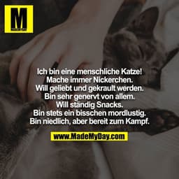 Ich bin eine menschliche Katze! Mache immer Nickerchen. Will geliebt und gekrault werden. Bin sehr genervt von allem. Wi