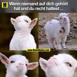 Wenn niemand auf dich gehört hat und du recht hattest ...