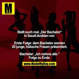 Stellt euch mal „Der Bachelor“ in Saudi-Arabien vor:

Erste Folge: dem Bachelor werden 20 junge, hübsche Frauen präsenti