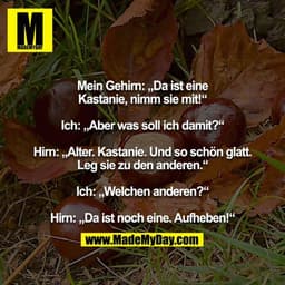 Mein Gehirn: „Da ist eine Kastanie, nimm sie mit!“

Ich: „Aber was soll ich damit?“

Hirn: „Alter. Kastanie. Und so schö