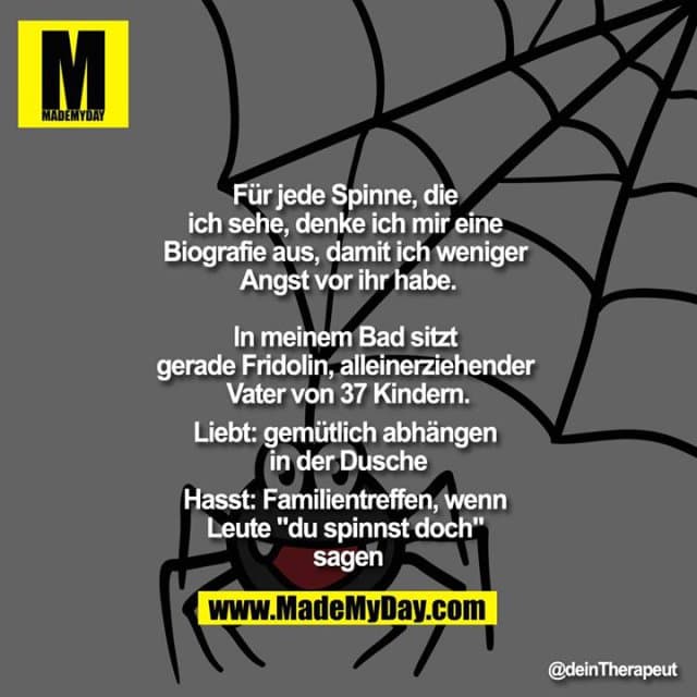 Für jede Spinne, die ich sehe, denke ich mir eine Biografie aus, damit ich weniger Angst vor ihr habe.
In meinem Bad sitzt gerade Fridolin, alleinerziehender Vater von 37 Kindern.
Liebt: gemütlich abhängen in der Dusche
Hasst: Familientreffen, wenn Leute "du spinnst doch" sagen - Inspiration, Zitate & Sprüche | MadeMyDay | Jetzt entdecken & teilen Für jede Spinne, die ich sehe, denke ich mir eine Biografie aus, damit ich weniger Angst vor ihr habe.
In meinem Bad sitzt gerade Fridolin, alleinerziehender Vater von 37 Kindern.
Liebt: gemütlich abhängen in der Dusche
Hasst: Familientreffen, wenn Leute "du spinnst doch" sagen - Inspirierendes Zitat mit Bild