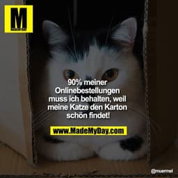 90% meiner Onlinebestellungen muss ich behalten, weil meine Katze den Karton schön findet!