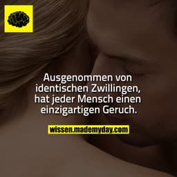 Ausgenommen von identischen Zwillingen, hat jeder Mensch einen einzigartigen Geruch.