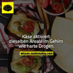 Käse aktiviert dieselben Areale im Gehirn wie harte Drogen.