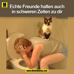 Echte Freunde halten auch
in schweren Zeiten zu dir