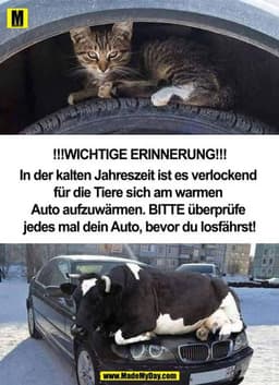 !!!WICHTIGE ERINNERUNG!!!
In der kalten Jahreszeit ist es verlockend für die Tiere sich am warmen Auto aufzuwärmen. BITT