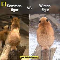 Sommer- 
figur

vs. 

Winter-
figur