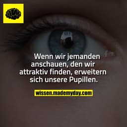 Wenn wir jemanden
anschauen, den wir
attraktiv finden, erweitern
sich unsere Pupillen.