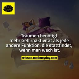 Träumen benötigt mehr
Gehirnaktivität als jede andere
Funktion, die stattfindet, wenn
man wach ist.