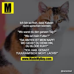 Ich bin so froh, dass Katzen nicht sprechen können.

"Wo warst du den ganzen Tag?"
"Wo ist mein Futter?"
"DA HINTEN IST 