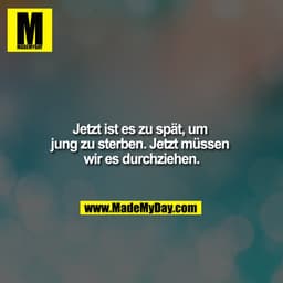 Jetzt ist es zu spät, um jung zu sterben. Jetzt müssen wir es durchziehen.