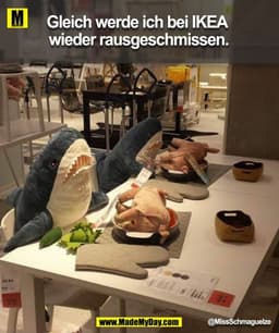 Gleich werde ich bei IKEA wieder rausgeschmissen.