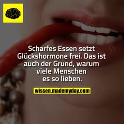 Scharfes Essen setzt Glückshormone frei. Das ist auch der Grund, warum viele Menschen es so lieben.