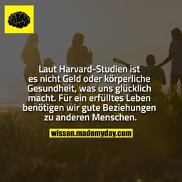Laut Harvard-Studien ist es nicht Geld oder körperliche Gesundheit, was uns glücklich macht. Für ein erfülltes Leben ben