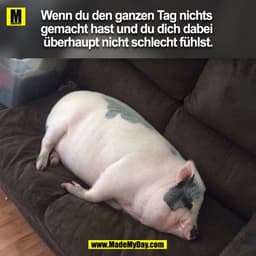 Wenn du den ganzen Tag nichts gemacht hast und du dich dabei überhaupt nicht schlecht fühlst.
