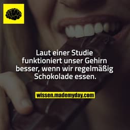 Laut einer Studie funktioniert unser Gehirn besser, wenn wir regelmäßig Schokolade essen.
