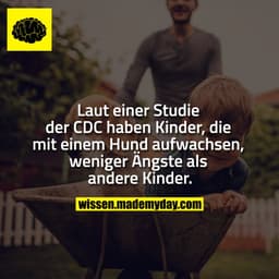 Laut einer Studie der CDC haben Kinder, die mit einem Hund aufwachsen, weniger Ängste als andere Kinder.