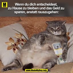 Wenn du dich entscheidest, zu Hause zu bleiben und das Geld zu sparen, anstatt rauszugehen: