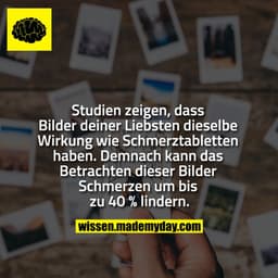 Studien zeigen, dass Bilder deiner Liebsten dieselbe Wirkung wie Schmerztabletten haben. Demnach kann das Betrachten die