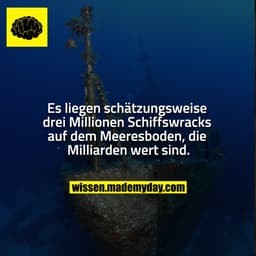 Es liegen schätzungsweise drei Millionen Schiffswracks auf dem Meeresboden, die Milliarden wert sind.