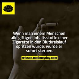 Wenn man einem Menschen alle giftigen Inhaltsstoffe einer Zigarette in den Blutkreislauf spritzen würde, würde er sofort