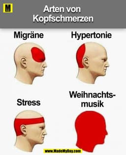 Arten von 
Kopfschmerzen

Migräne
Hypertonie 
Stress
Weihnachts-
musik