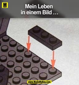 Mein Leben in einem Bild …
