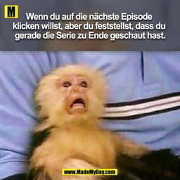 Wenn du auf die nächste Episode klicken willst, aber du feststellst, dass du gerade die Serie zu Ende geschaut hast.