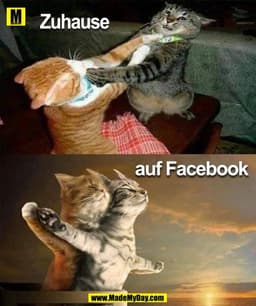 Zuhause
auf Facebook