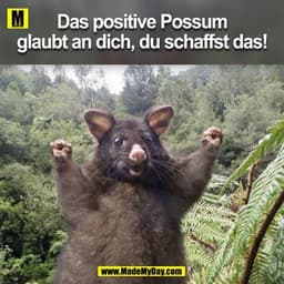 Das positive Possum
glaubt an dich, du schaffst das!
