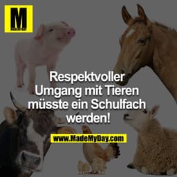 Respektvoller
Umgang mit Tieren
müsste ein Schulfach
werden!