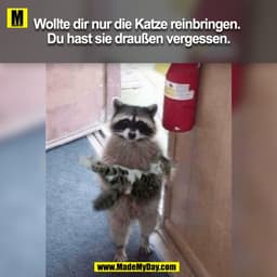 Wollte dir nur die Katze reinbringen. 
Du hast sie draußen vergessen.
