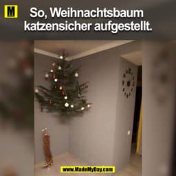 So, Weihnachtsbaum katzensicher aufgestellt.