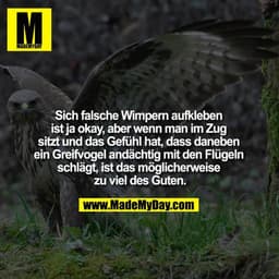 Sich falsche Wimpern aufkleben ist ja okay, aber wenn man im Zug sitzt und das Gefühl hat, dass daneben ein Greifvogel a