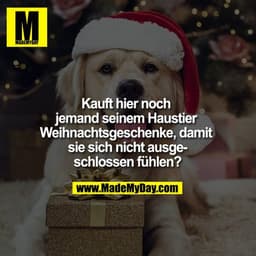 Kauft hier noch jemand seinem Haustier Weihnachtsgeschenke, damit sie sich nicht ausgeschlossen fühlen?
