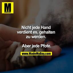 Nicht jede Hand verdient es gehalten zu werden. 

Aber jede Pfote.