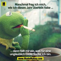 Manchmal frag ich mich, wie ich dieses Jahr überlebt habe ...

... dann fällt mir ein, was für eine unglaublich coole So