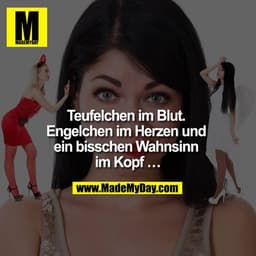 Teufelchen im Blut. Engelchen im Herzen und ein bisschen Wahnsinn im Kopf ...