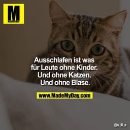 Ausschlafen ist was für Leute ohne Kinder. Und ohne Katzen. Und ohne Blase.