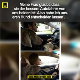 Meine Frau glaubt, dass sie die bessere Autofahrerin von uns beiden ist. Also ließ ich unseren Hund entscheiden …