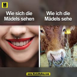 Wie sich die Mädels sehen
Wie ich die Mädels sehe