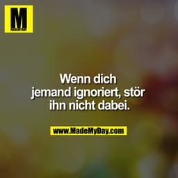 Wenn dich jemand ignoriert, stör ihn nicht dabei.