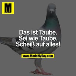 Das ist Taube.
Sei wie Taube.
Scheiß auf alles!