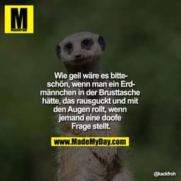 Wie geil wäre es bitteschön, wenn man ein Erdmännchen in der Brusttasche hätte, das rausguckt und mit den Augen rollt, w