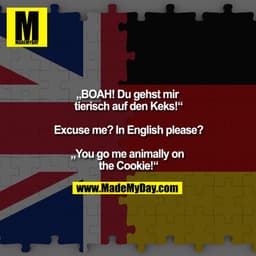 „BOAH! Du gehst mir tierisch auf den Keks!“

Excuse me? In English please?

„You go me animally on the Cookie!“