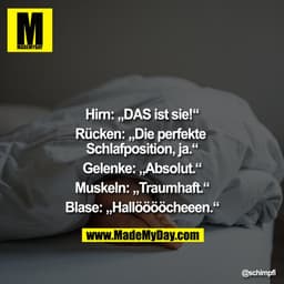 Hirn: „DAS ist sie!“
Rücken: „Die perfekte Schlafposition, ja.“
Gelenke: „Absolut.“
Muskeln: „Traumhaft.“
Blase: „Hallöö